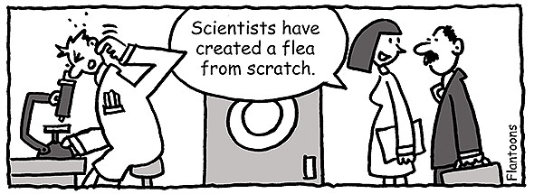 scratch idiom